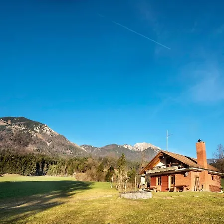 Little Dream House In A Perfect Spot Dom wakacyjny